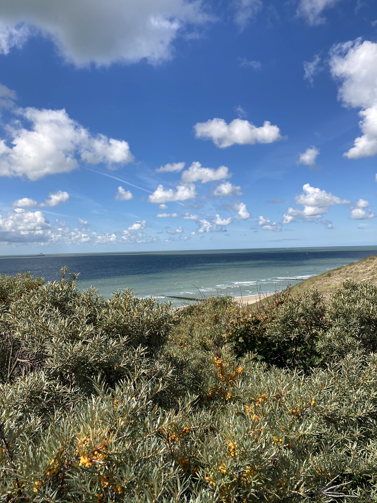 Aussicht_Zoutelande